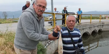 Balıkesir’de balık ölümleri başladı