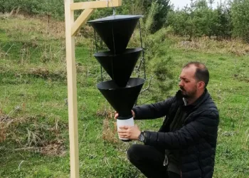 Orman zararlılarına karşı biyoteknik mücadele