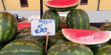 Karpuz kilosu 50 TL’den satışa çıktı