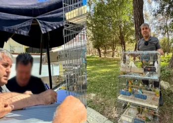 Antalya’da papağan operasyonu