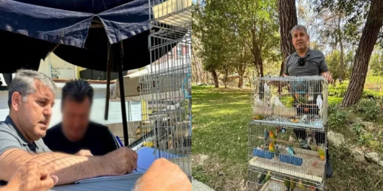 Antalya’da papağan operasyonu