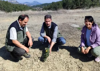 Kömür Ocağı Bal Ormanı, ‘örnek bal ormanı’ oldu