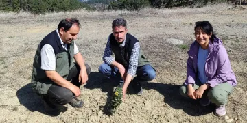 Kömür Ocağı Bal Ormanı, ‘örnek bal ormanı’ oldu
