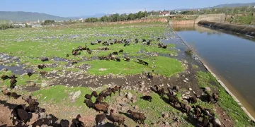 Elazığ’a bahar geldi