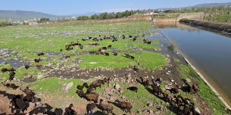 Elazığ’a bahar geldi