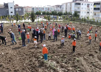 Meyve fidanları okul bahçesine dikildi