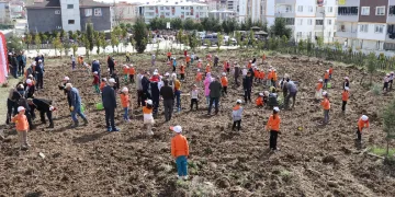 Meyve fidanları okul bahçesine dikildi