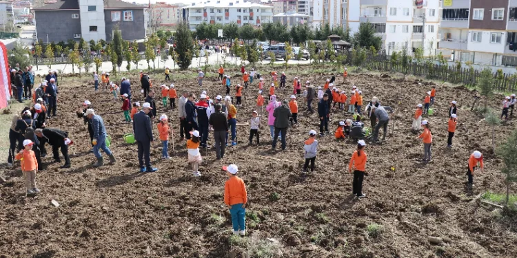 Meyve fidanları okul bahçesine dikildi