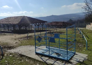 Kastamonu hayvan pazarı yine kapatıldı