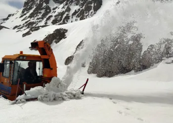 Kar kaplanları görevinin başında