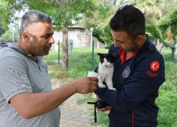 Ağaçta mahsur kalan kedi kurtarıldı