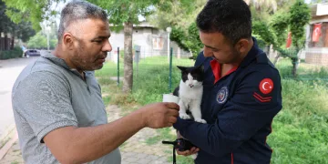 Ağaçta mahsur kalan kedi kurtarıldı