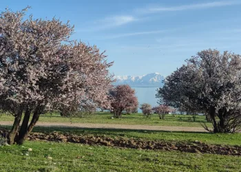 Van’da iki mevsim bir arada