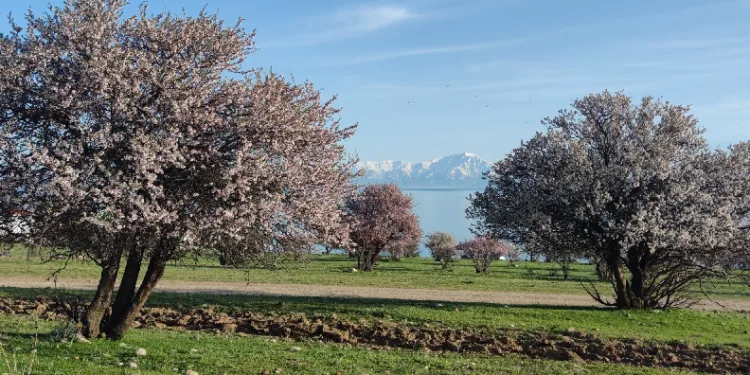Van’da iki mevsim bir arada