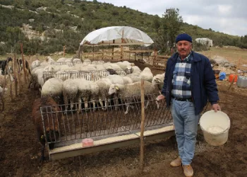 Hayvancılara Çoban Haritası desteği