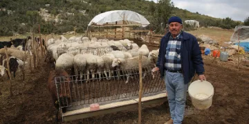 Hayvancılara Çoban Haritası desteği