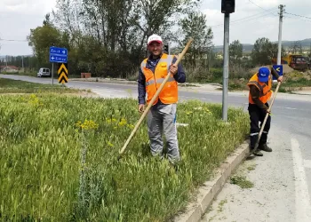 Hisarcık’ta yabani ot biçme çalışması