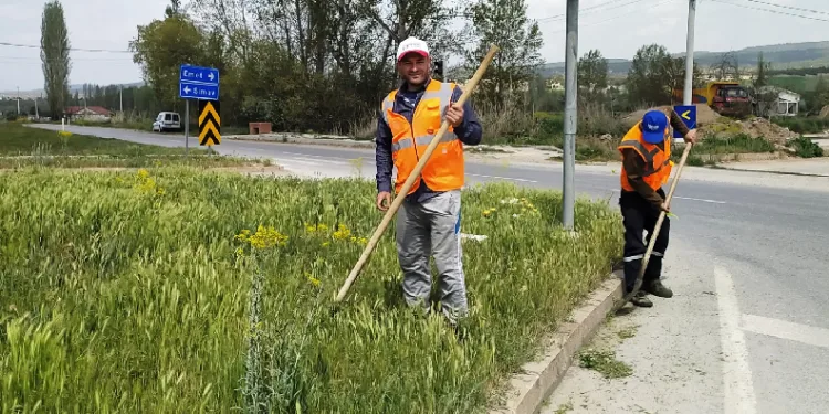 Hisarcık’ta yabani ot biçme çalışması