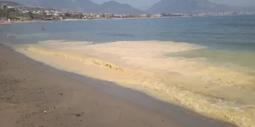 Tedirgin eden görüntüye uzmanından açıklama