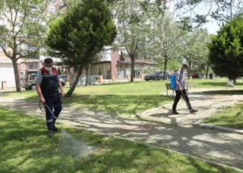 Park ve bahçelerde ilaçlama yapıldı