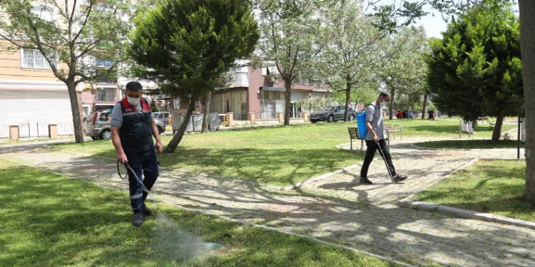 Park ve bahçelerde ilaçlama yapıldı