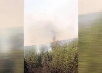 Eskişehir’de orman yangını
