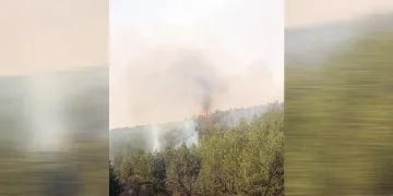 Eskişehir’de orman yangını