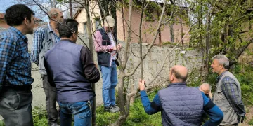 Emet’te meyve üreticilerine budama ve aşılama eğitimi