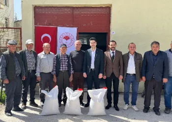 Çavdarhisar’da çiftçilere nohut tohumu dağıtıldı