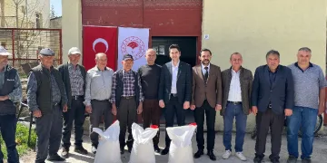 Çavdarhisar’da çiftçilere nohut tohumu dağıtıldı