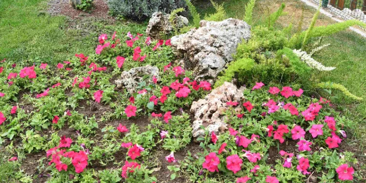 HayatPark çiçek gibi oldu