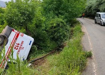 Akrep sokması vakasına giden ambulans kaza yaptı