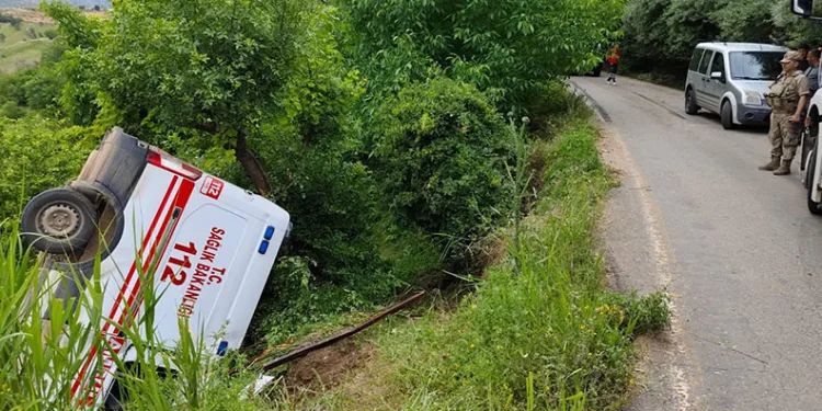 Akrep sokması vakasına giden ambulans kaza yaptı