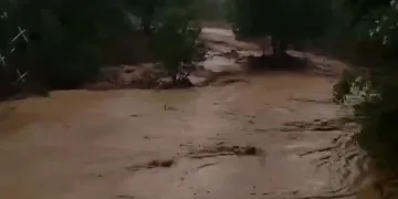 Elazığ’da sağanak yağış etkili oldu