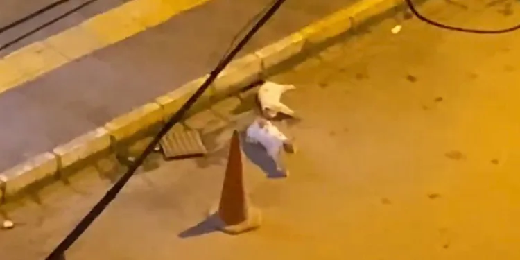 Otomobilin çarptığı kedinin başından ayrılmadı