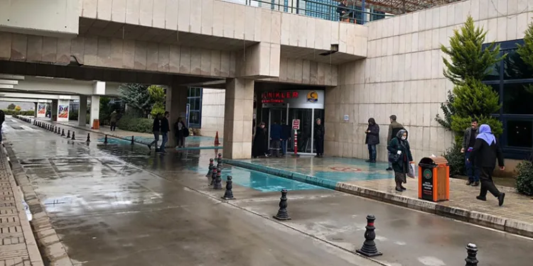 Bal arısının soktuğu adam komaya girdi