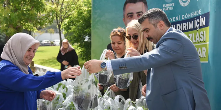 Yıldırım Belediyesi’nden 50 bin fide