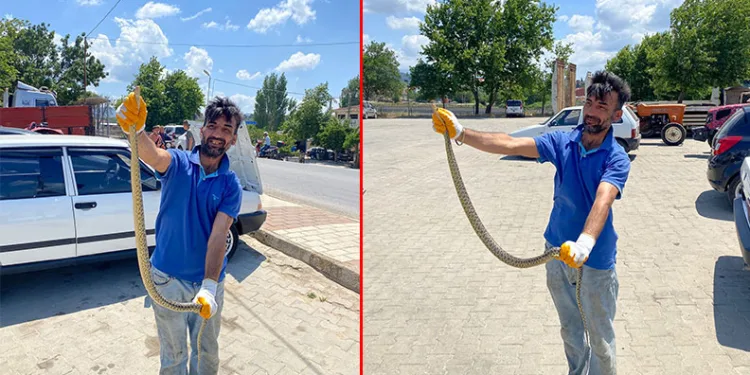 Çanakkale’de otomobilin motor kısmından engerek yılanı çıktı