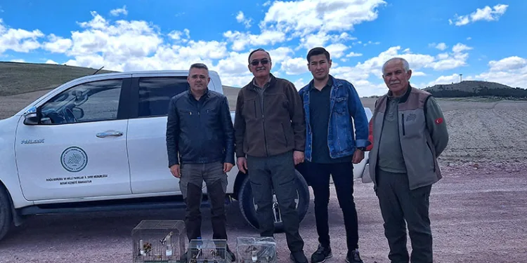 Yasa dışı olarak saka kuşu bulunduranlar yakalandı