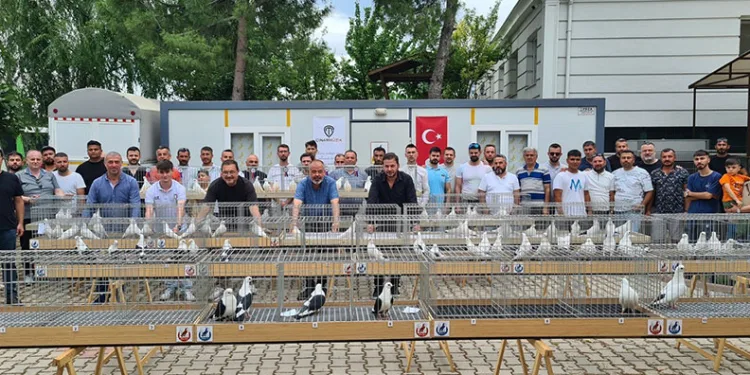 En güzel güvercinler birincilik için yarıştı