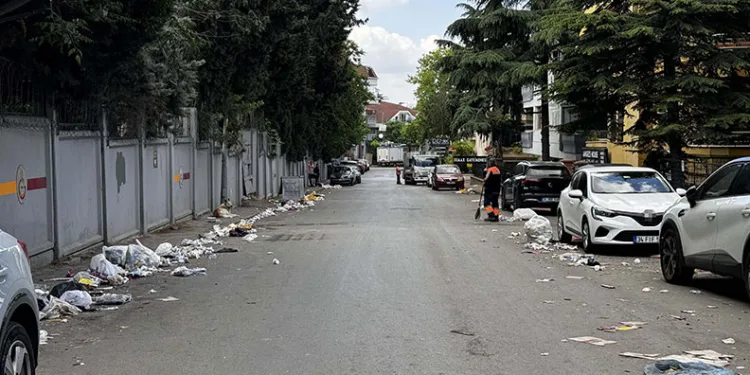 Şampiyonluk kutlamaları bitti, geriye çöp yığınları kaldı