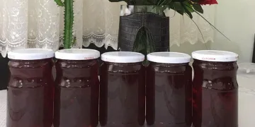 Gül şehrinde Gül reçeli yapımı başladı