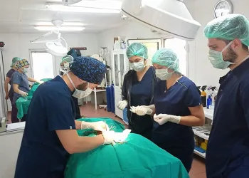 Geleceğin veteriner hekimlerine uygulamalı eğitim