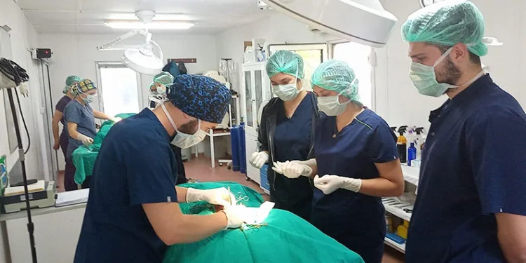 Geleceğin veteriner hekimlerine uygulamalı eğitim