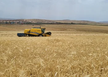 Adıyaman’da hasat başladı
