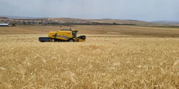 Adıyaman’da hasat başladı