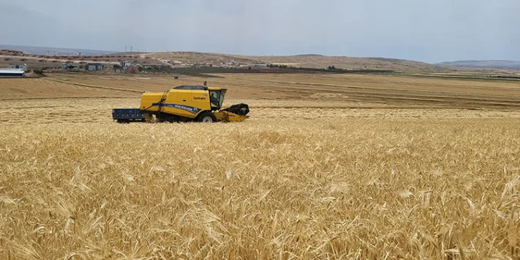 Adıyaman’da hasat başladı