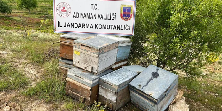 Çalınan arı kovanları jandarma tarafından bulundu