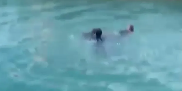 Sulama kanalına düşen kadını vatandaşlar kurtardı