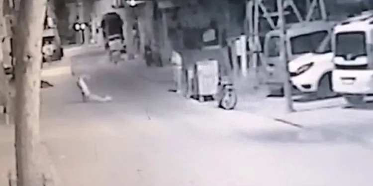 Bayıltana kadar dövdü, sürükleyip yol kenarına bıraktı